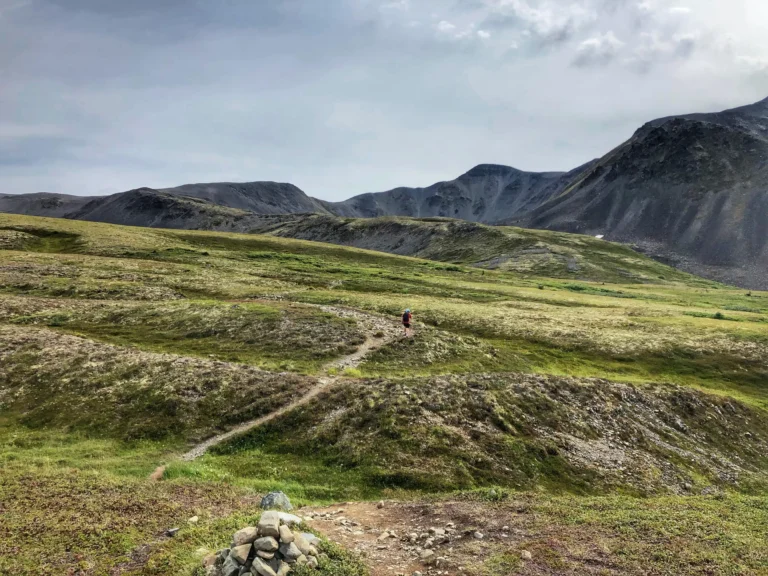 阿拉斯加Kesugi Ridge Trail蓝莓步道