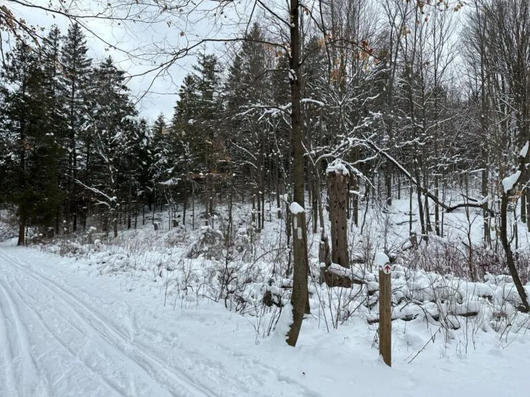 Winter on Bruce Trail