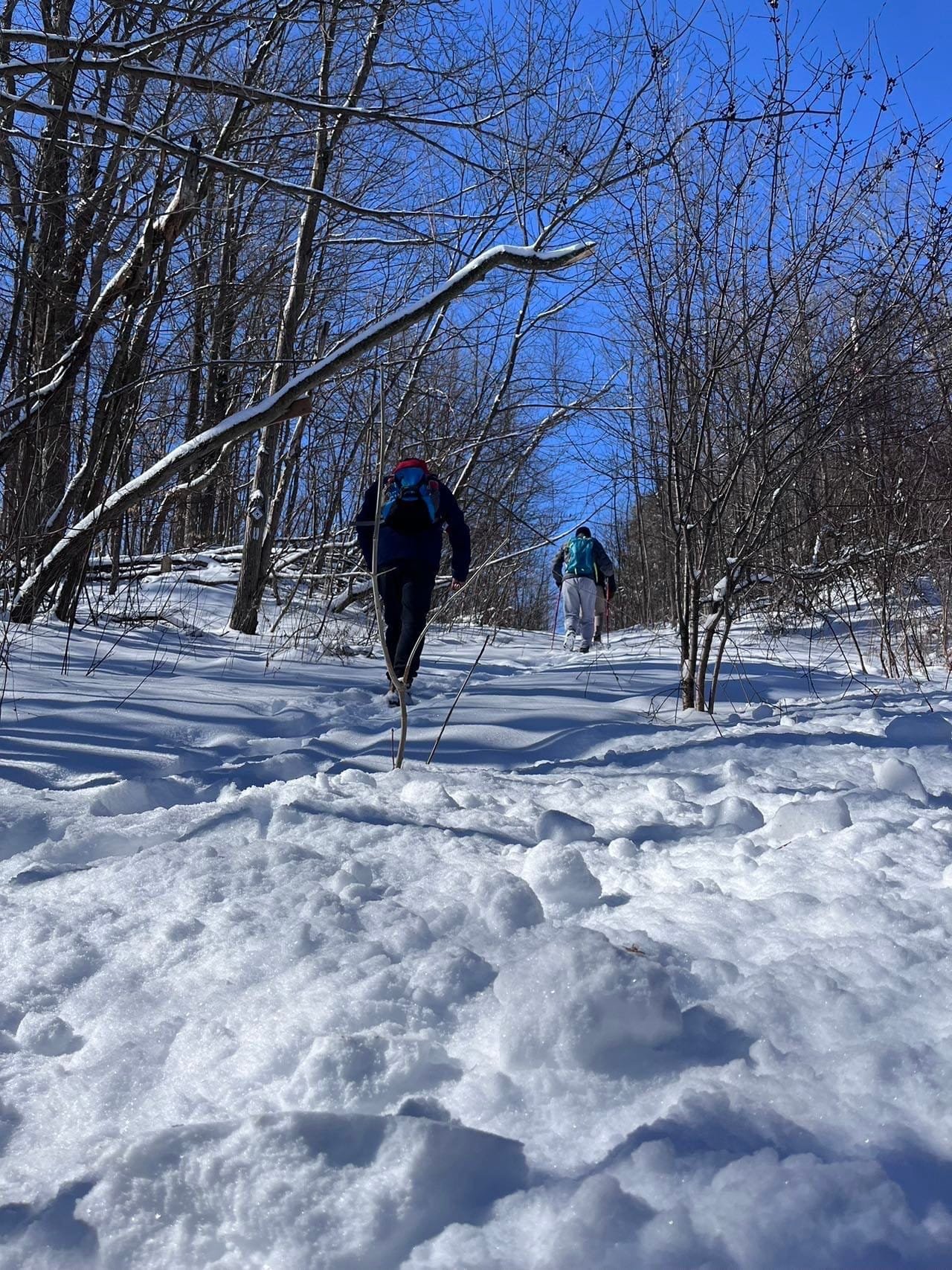 Winter Hike on Bruce Trail - Toronto section
