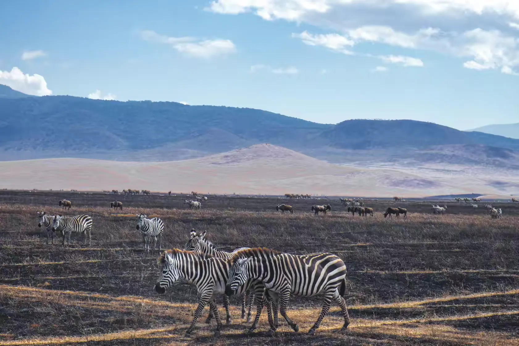 简篇-2 Day Safari Tanzania