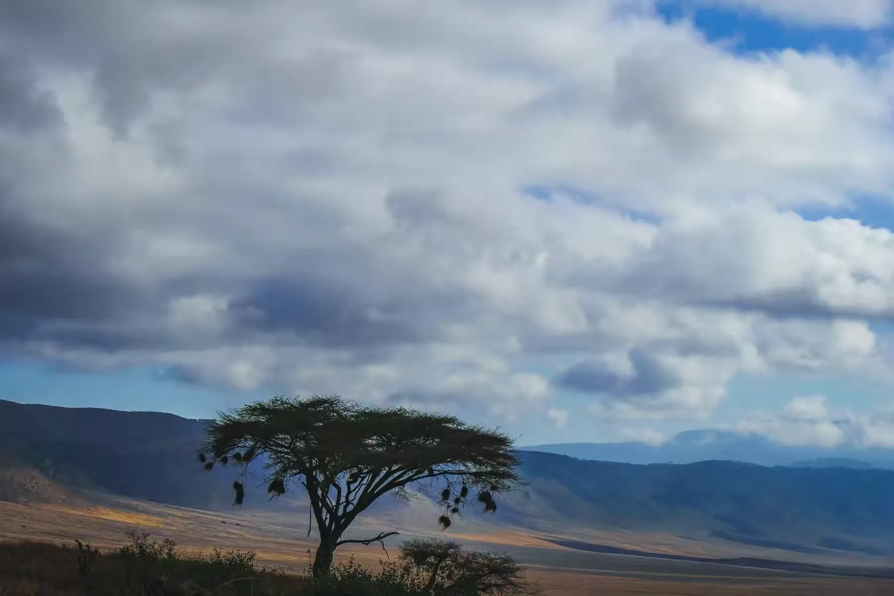 简篇-2 Day Safari Tanzania