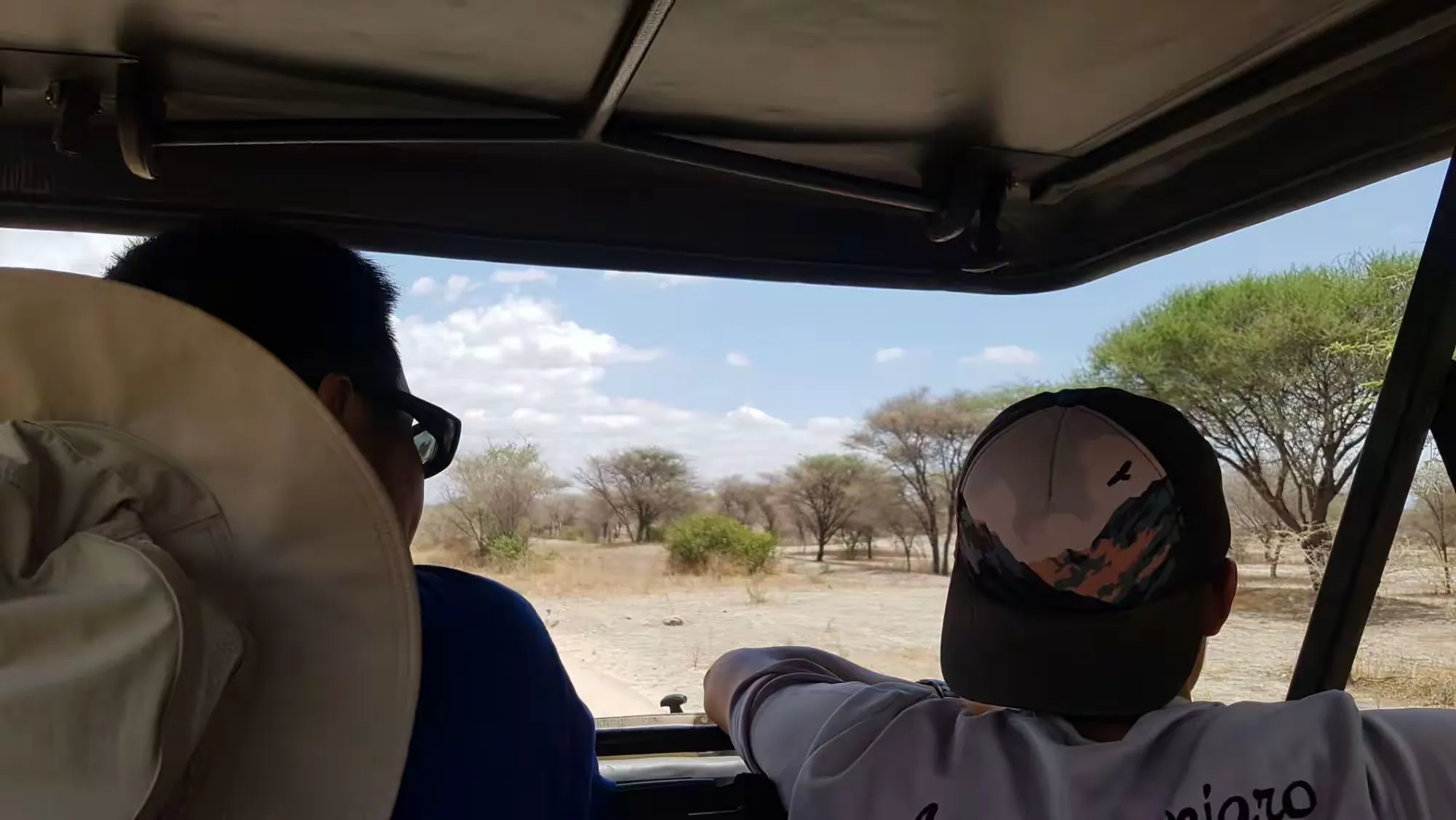 简篇-2 Day Safari Tanzania 坦桑尼亚 Safari 塔兰吉雷国家公园