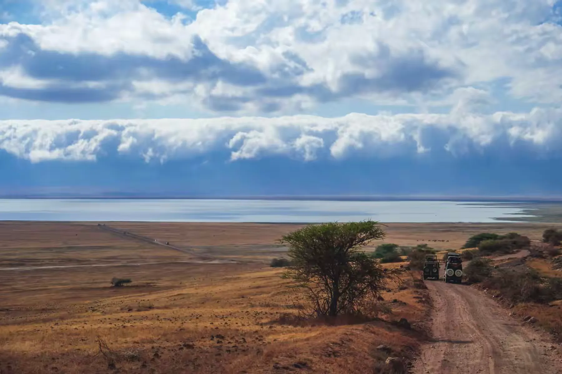 简篇-2 Day Safari Tanzania