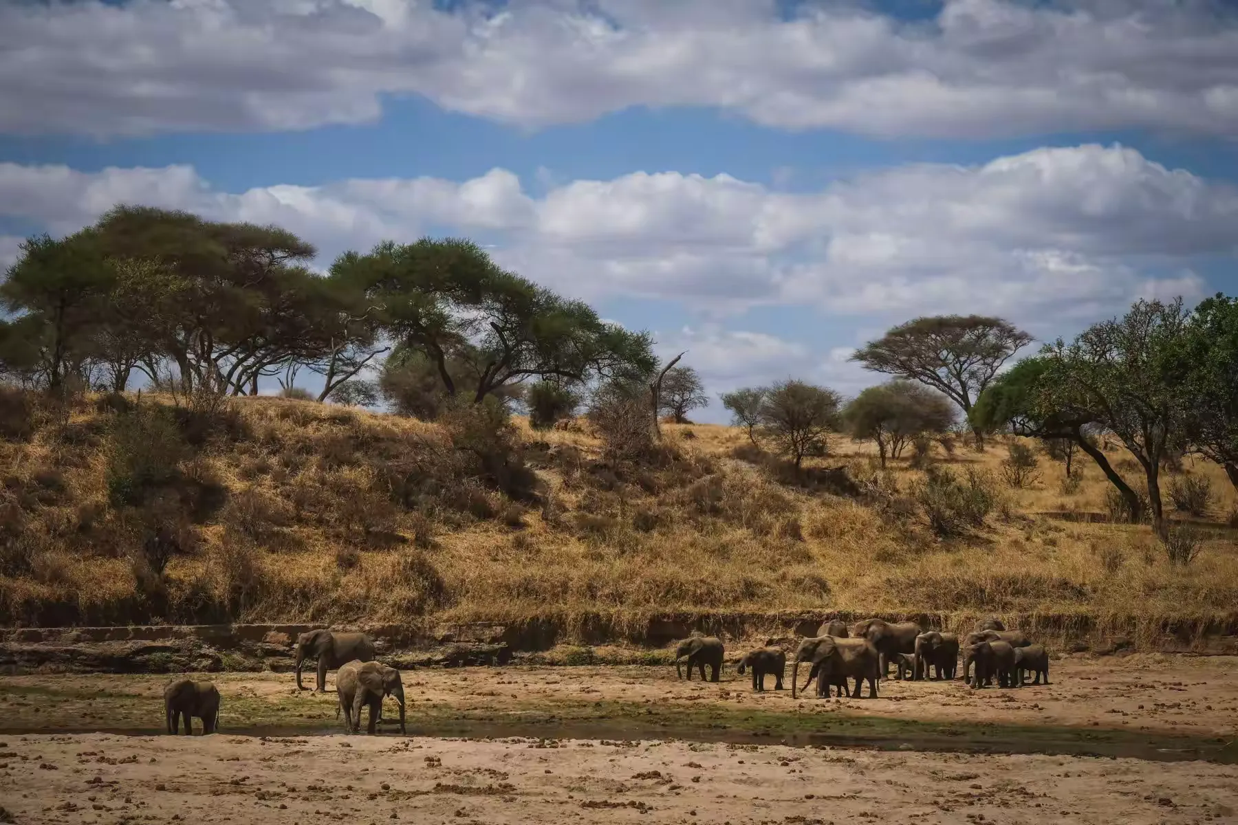 简篇-2 Day Safari Tanzania