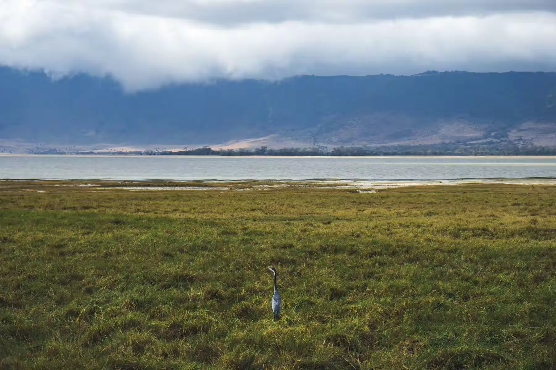 简篇-2 Day Safari Tanzania