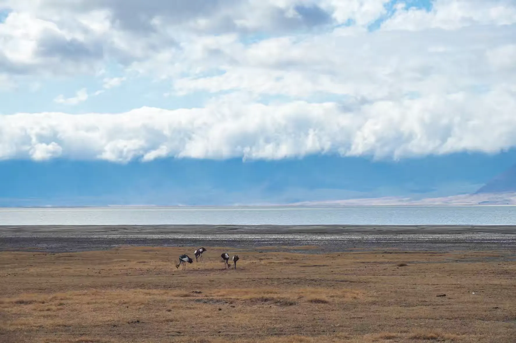 简篇-2 Day Safari Tanzania