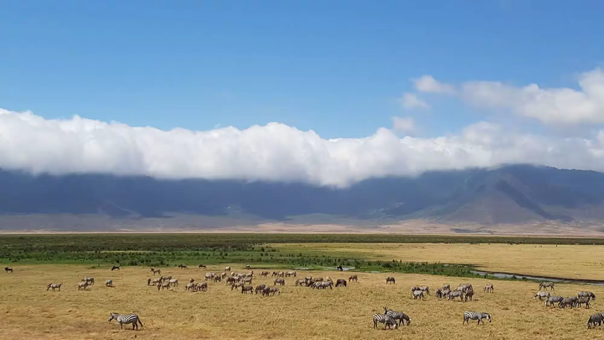 简篇-2 Day Safari Tanzania