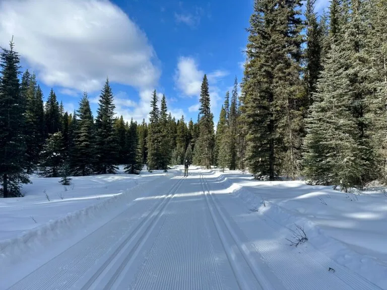 Peter Lougheed 省立公园越野滑雪