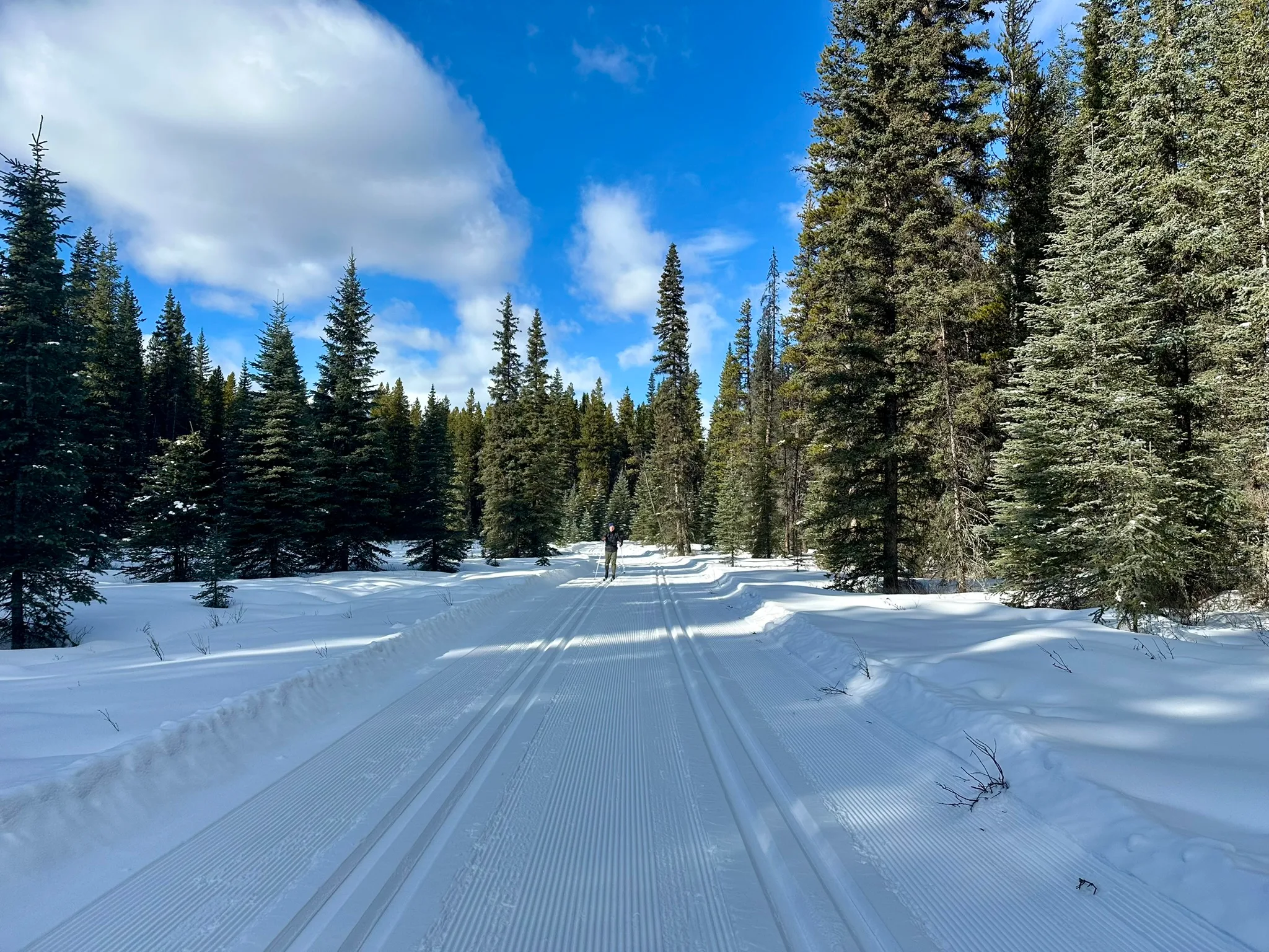 Peter Lougheed 省立公园越野滑雪