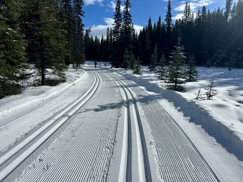 Peter Lougheed 省立公园越野滑雪的雪道维护非常优秀