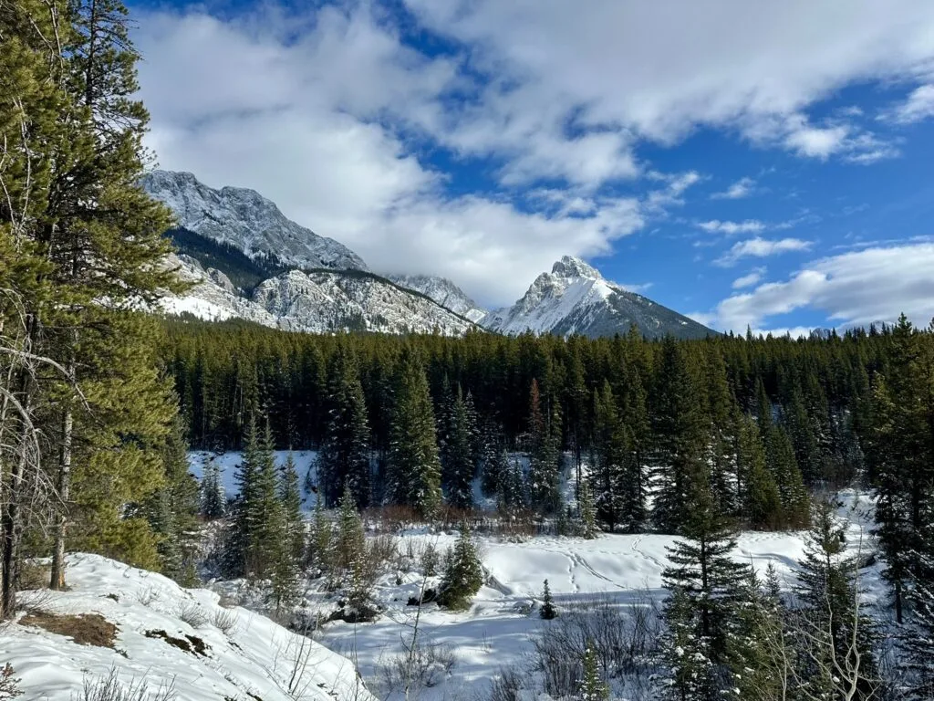 Peter Lougheed 省立公园越野滑雪