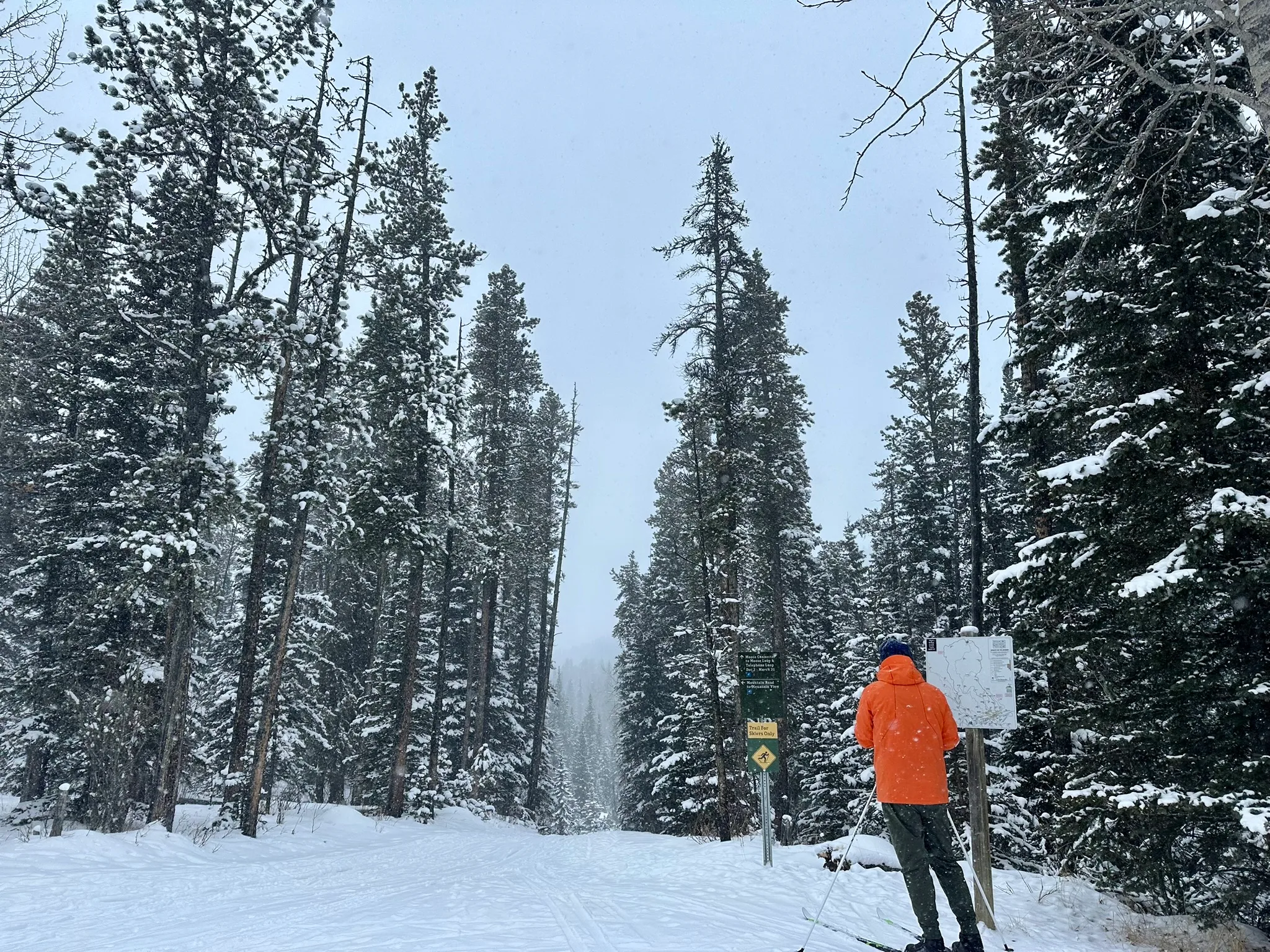 West-Bragg-Creek-越野滑雪场