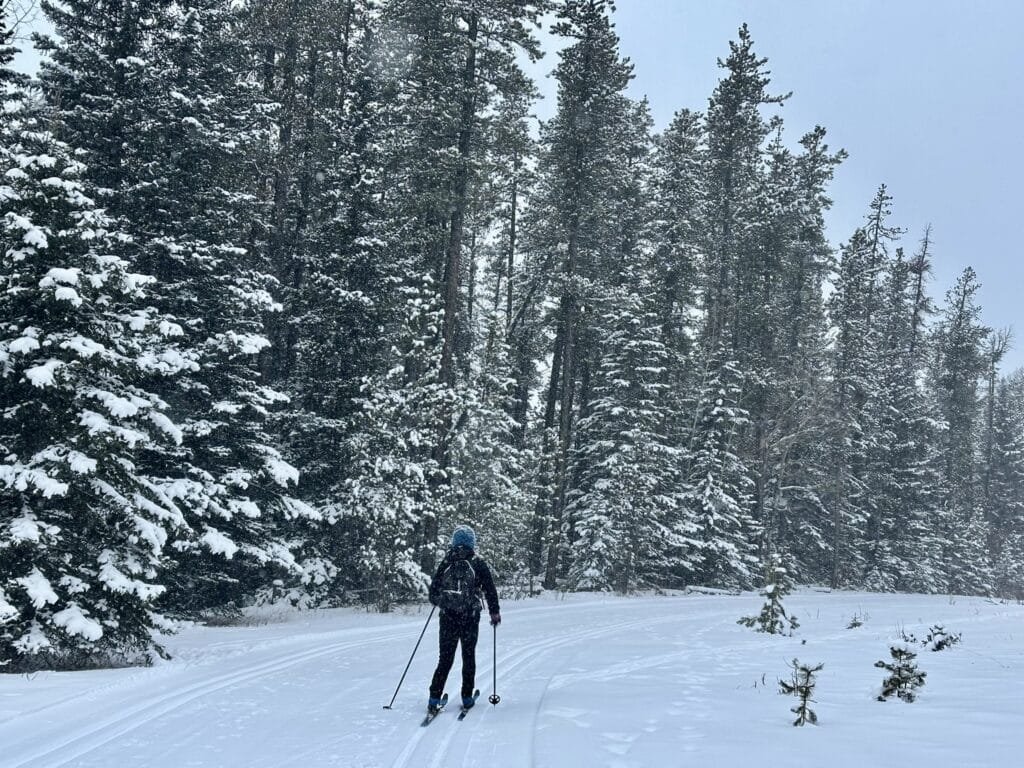 West Bragg Creek 越野滑雪场的MOOSE LOOP 雪道