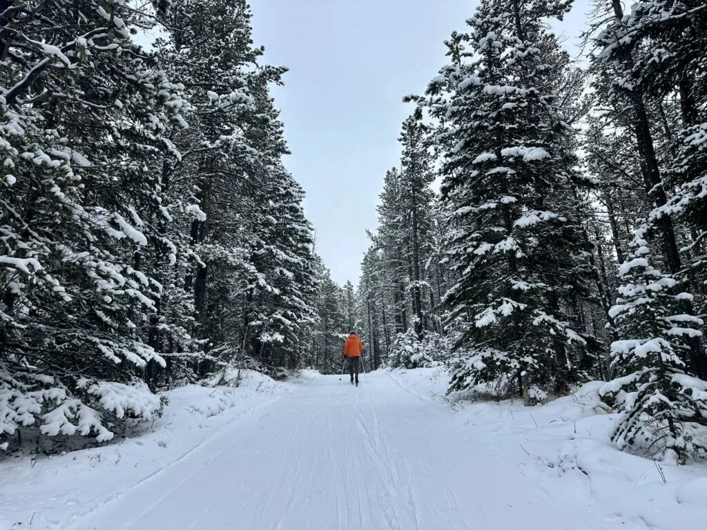 West Bragg Creek 越野滑雪场的MOOSE LOOP 雪道