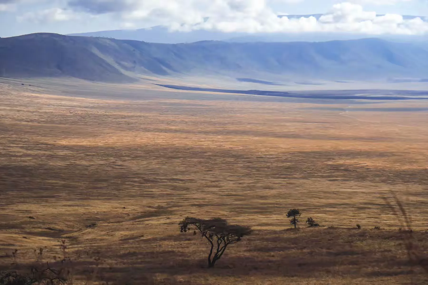 简篇-2 Day Safari Tanzania