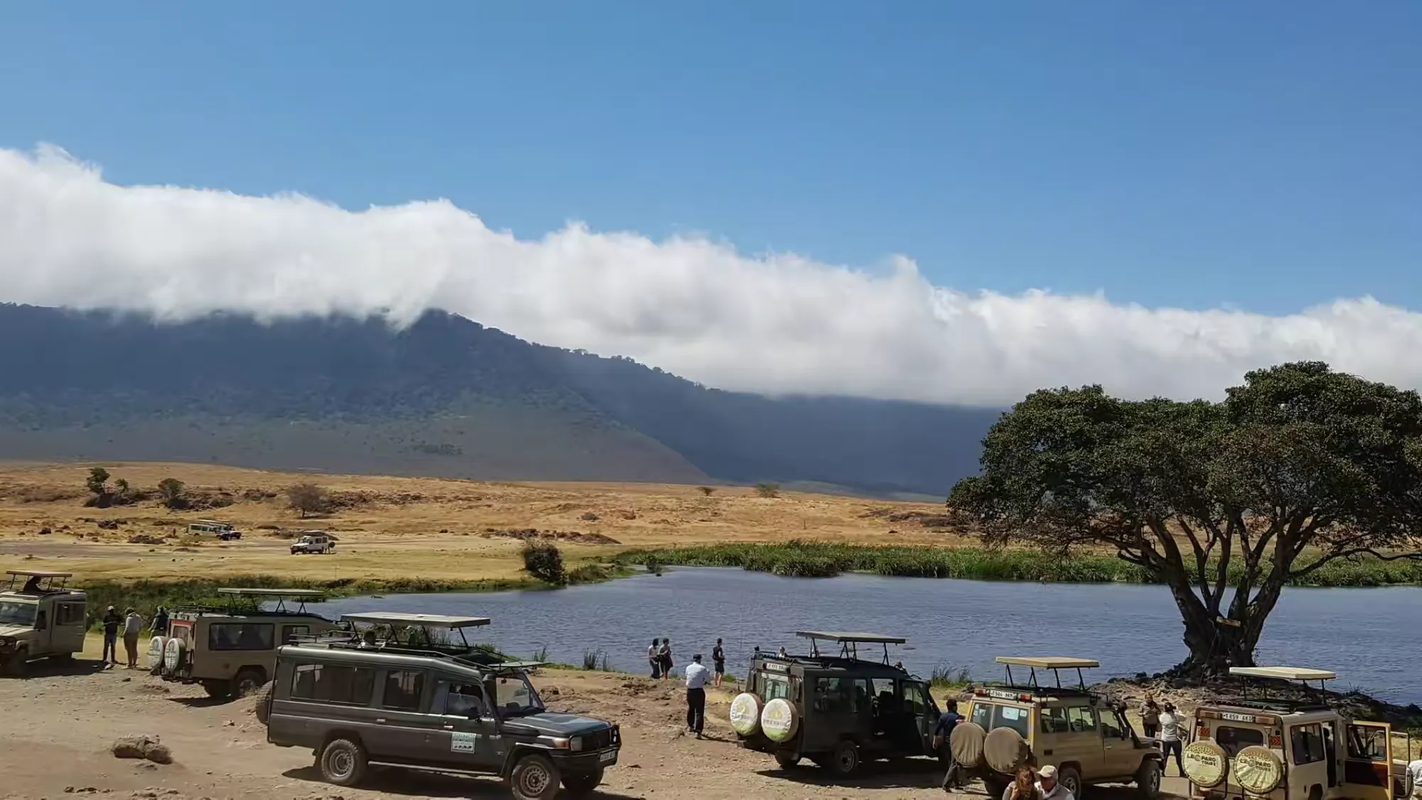 简篇-2 Day Safari Tanzania