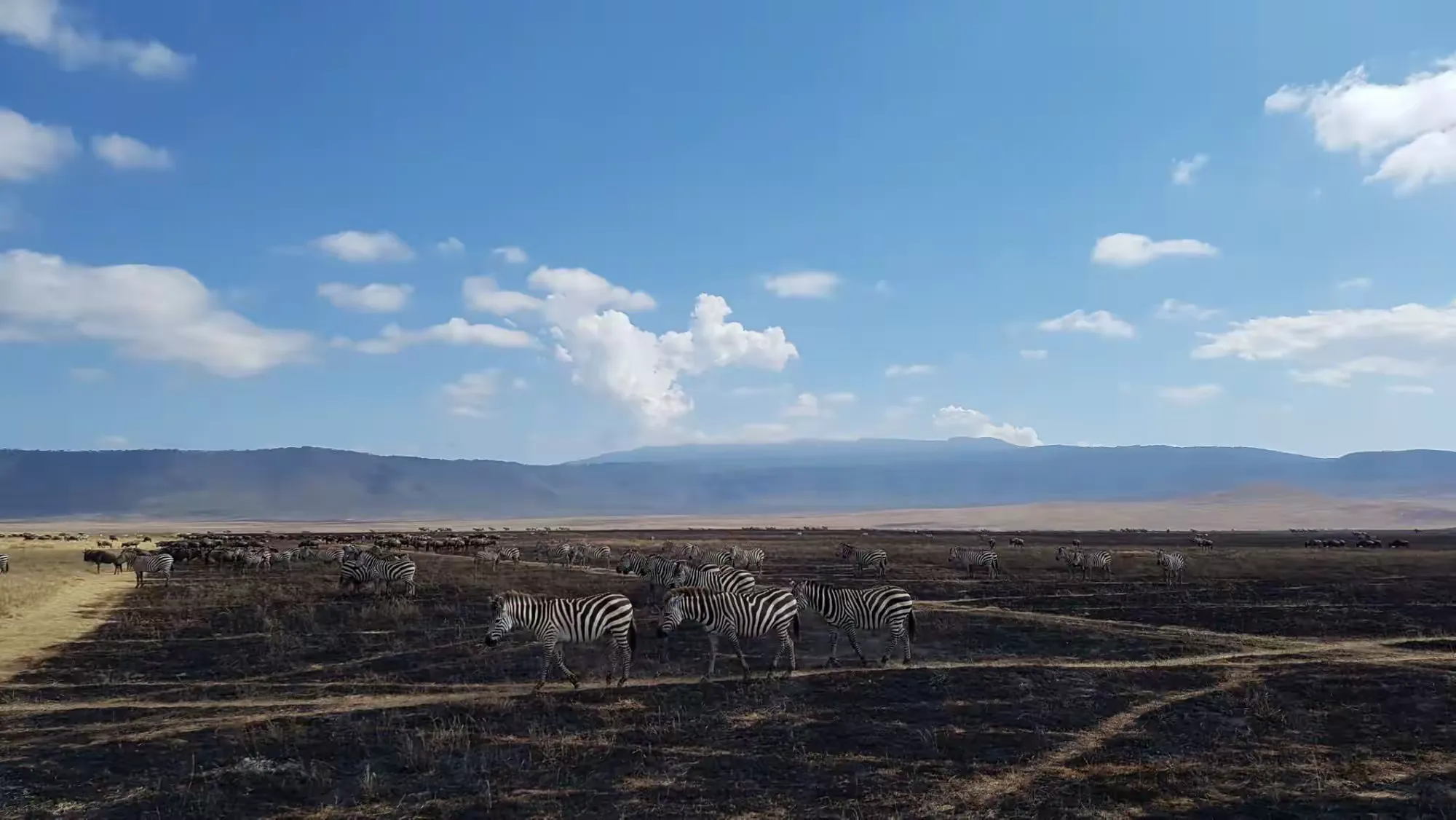 简篇-2 Day Safari Tanzania