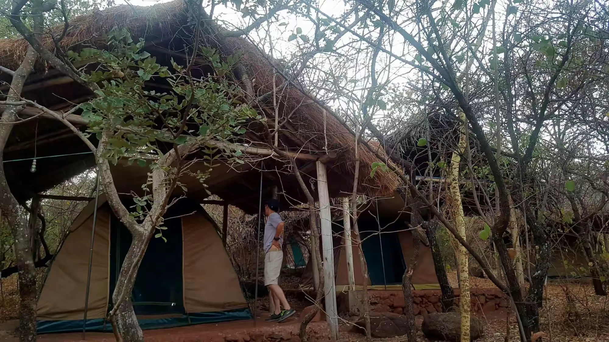 简篇-2 Day Safari Tanzania