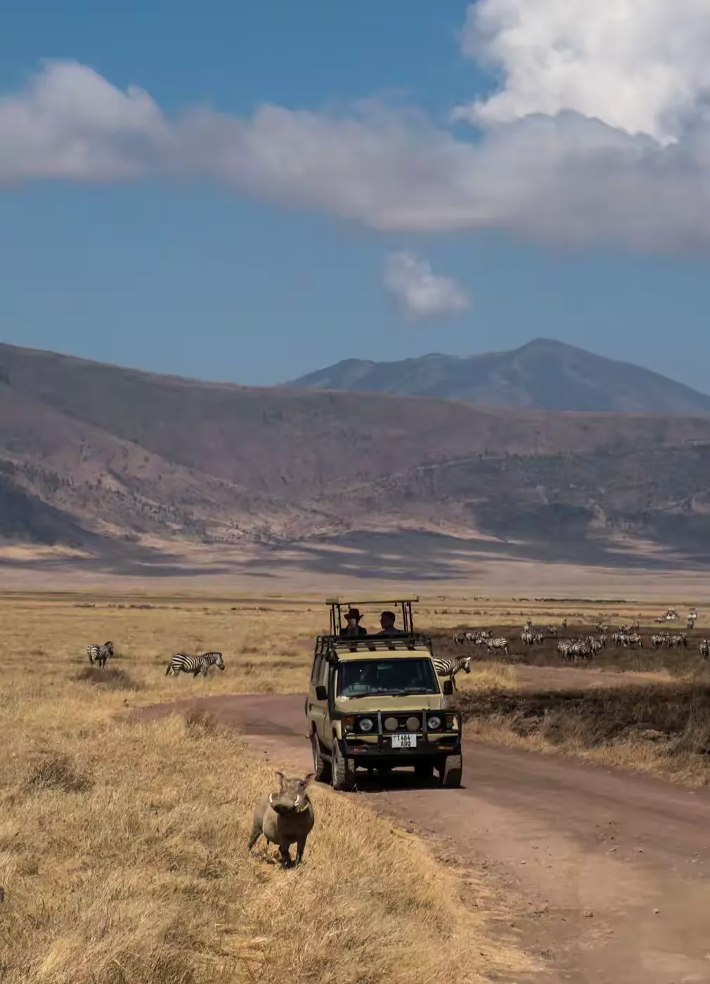 简篇-2 Day Safari Tanzania