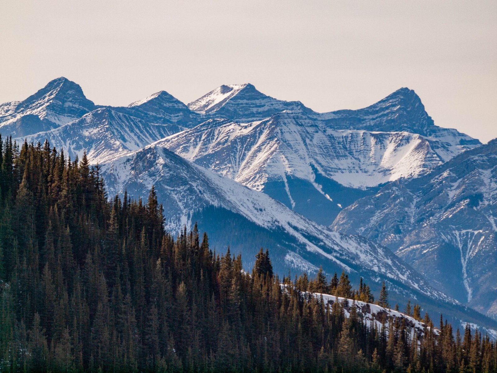 Cox-Hill-徒步-山顶风景