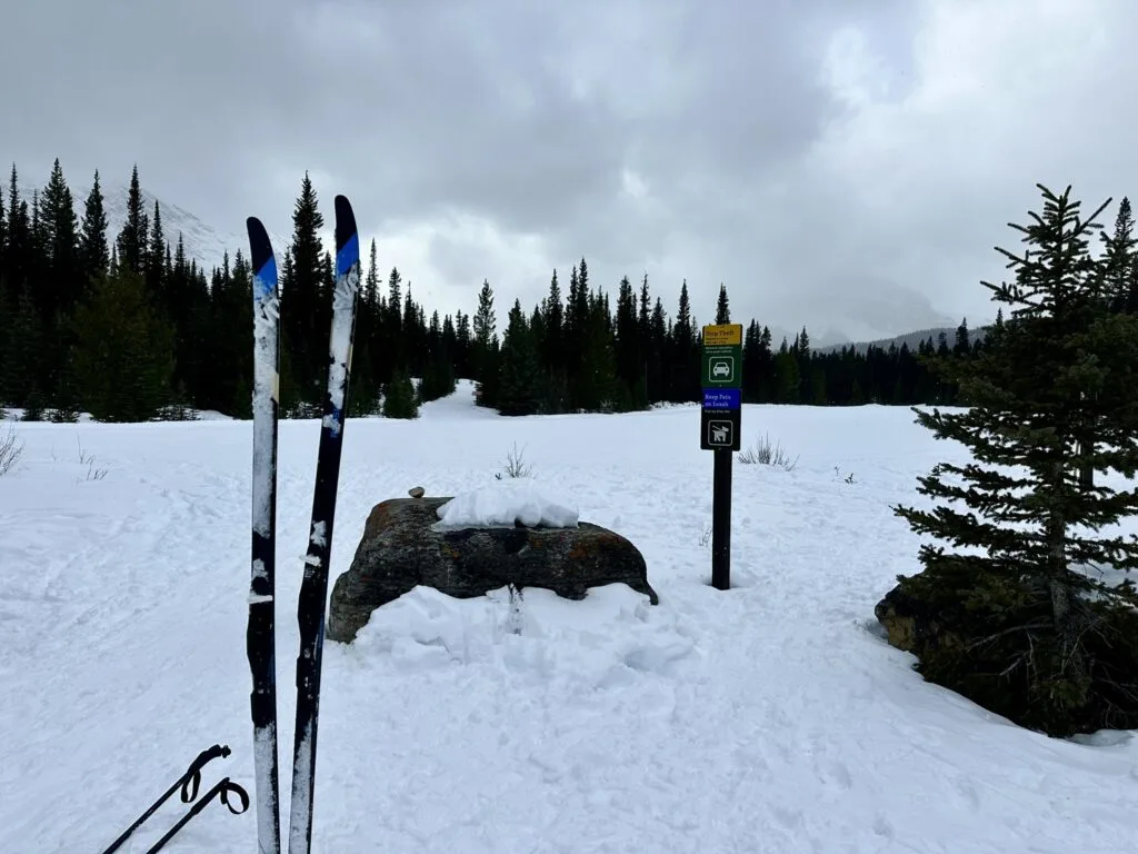 Mount Shark 越野滑雪TRAILHEAD