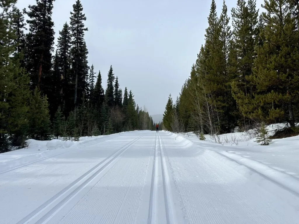 Mount Shark 越野滑雪的完美雪道