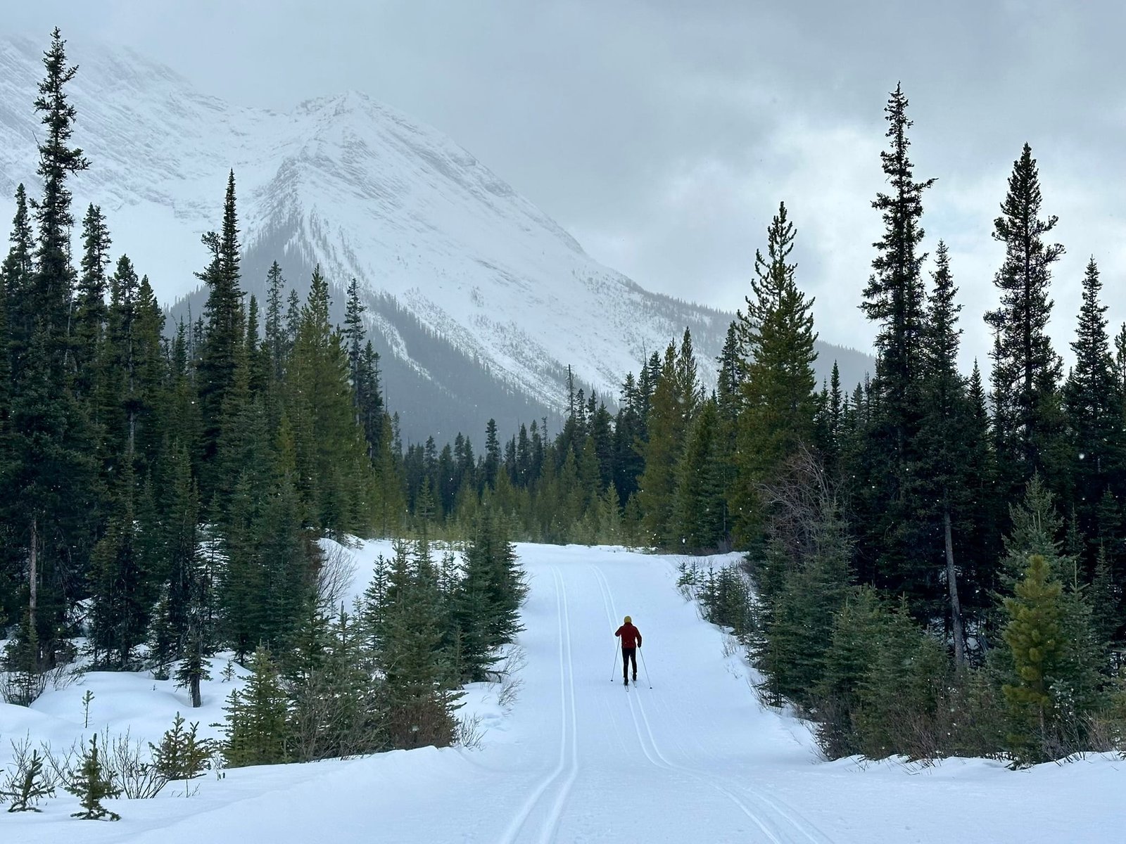 Mount Shark 越野滑雪