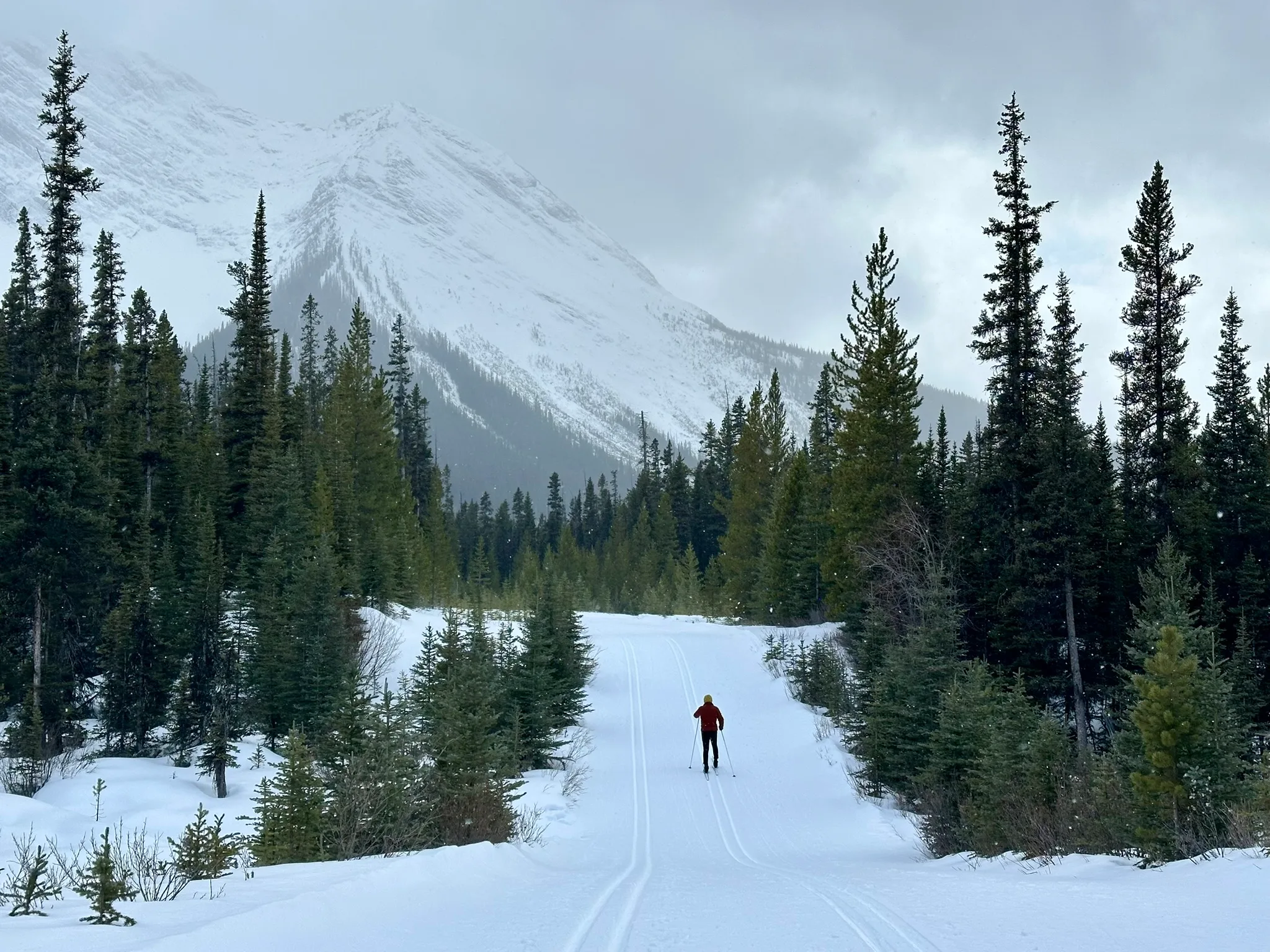 Mount Shark 越野滑雪