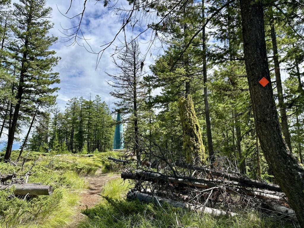 Camel's Hump 徒步道上的第一个hump