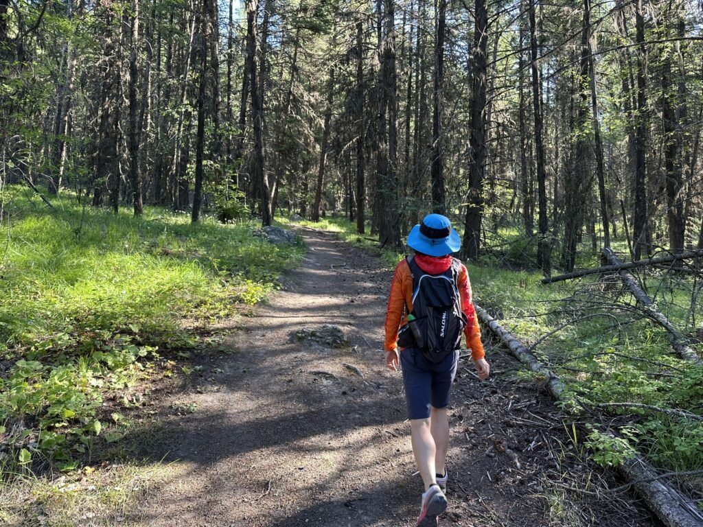 Bluenose Mountain 徒步道的起点