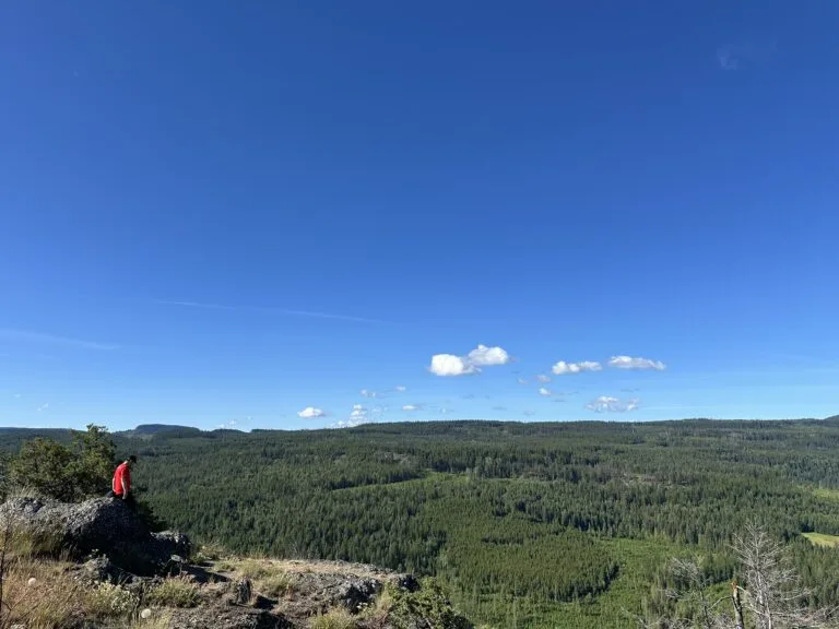 Bluenose Mountain 徒步的第一个Lookout
