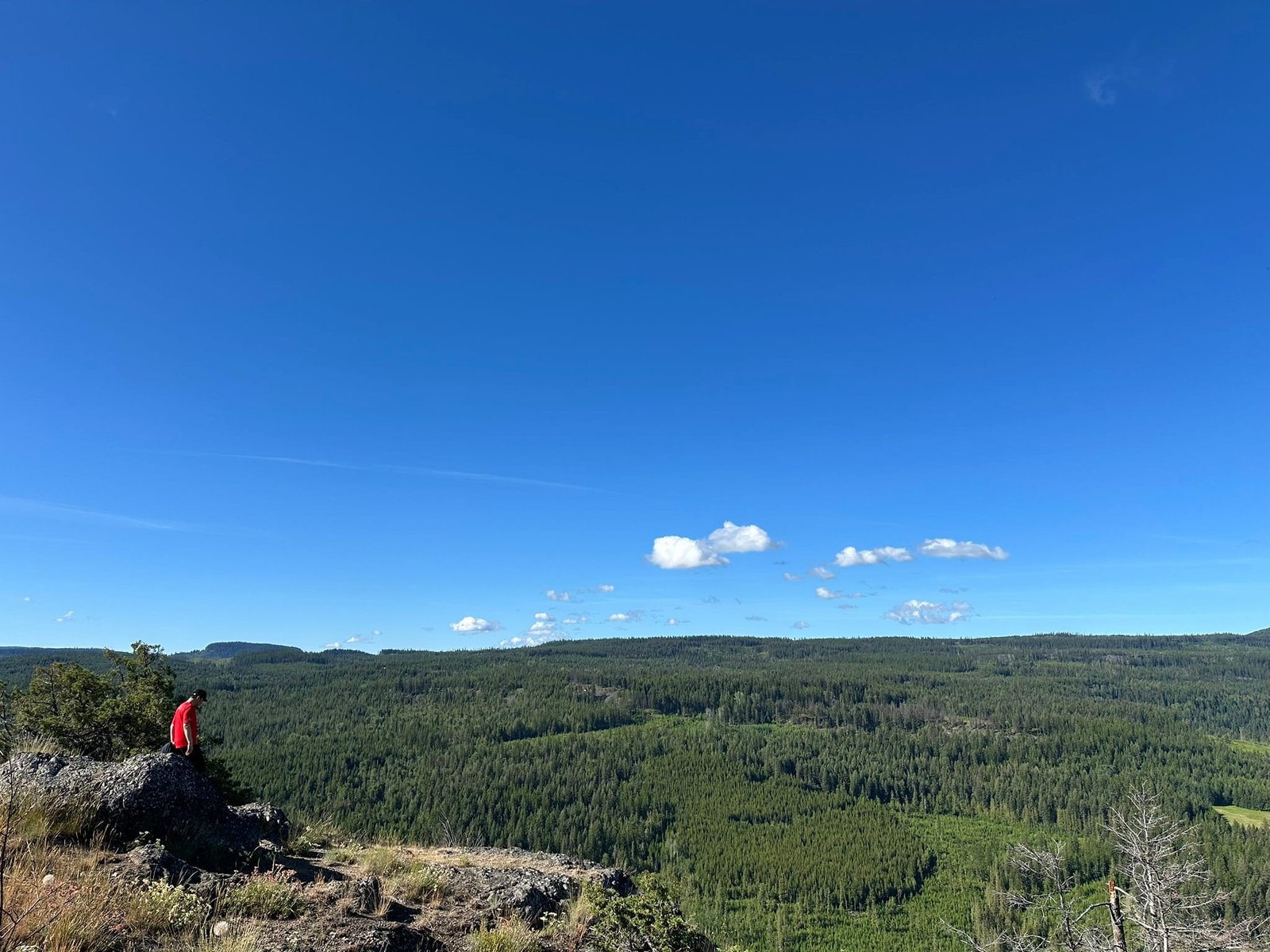 Bluenose Mountain 徒步的第一个Lookout
