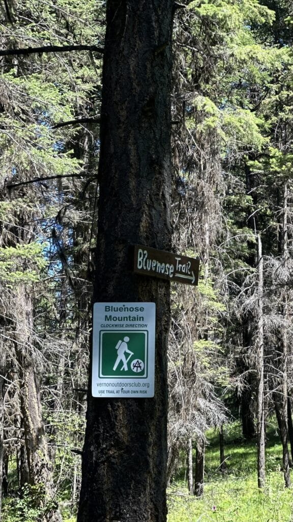 Bluenose Mountain 徒步 Trailhead