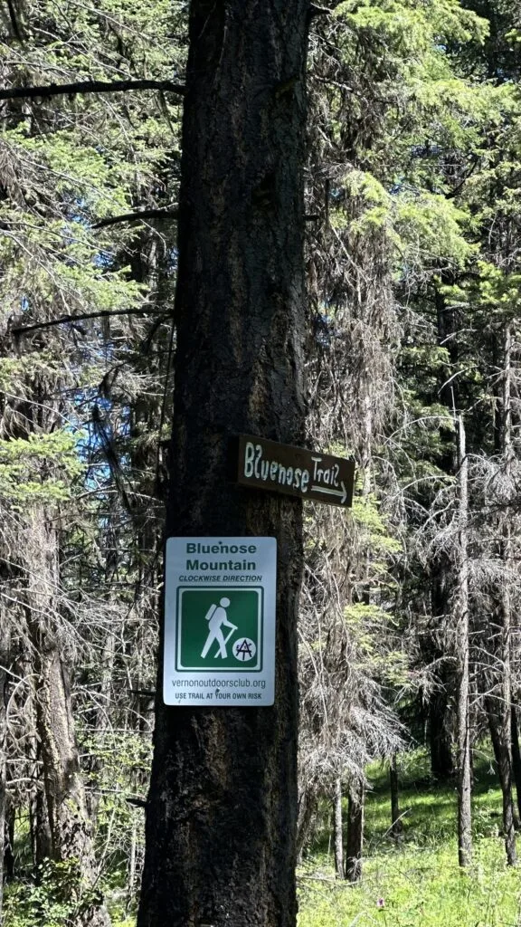 Bluenose Mountain 徒步 Trailhead