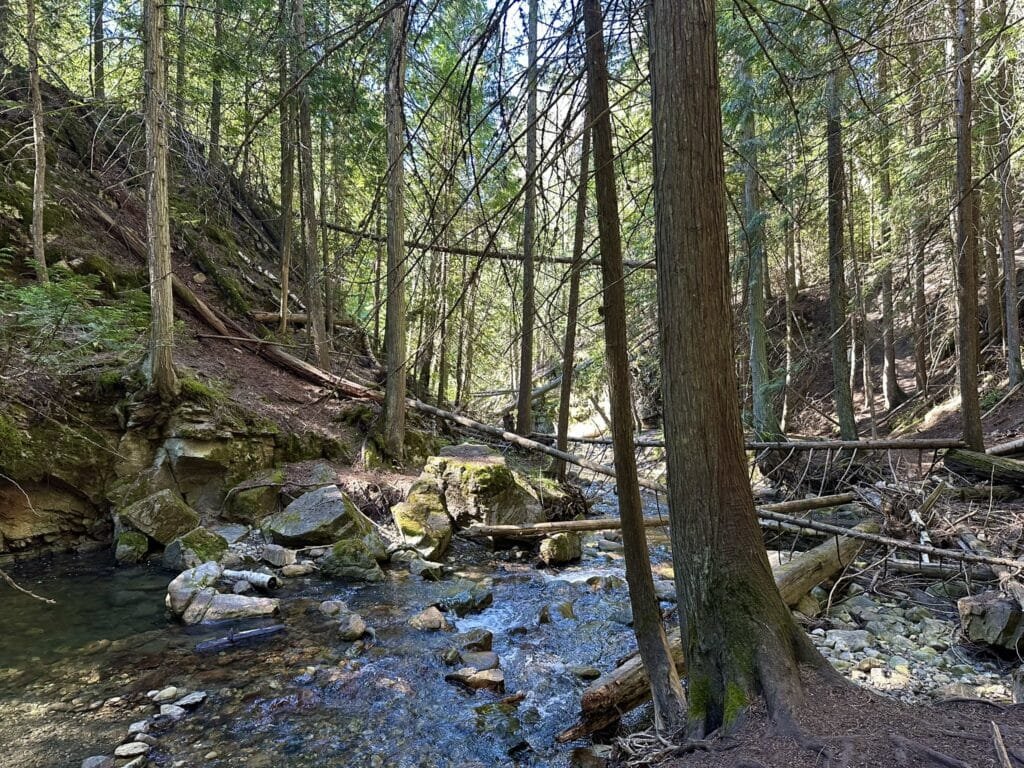 BX Creek Trail 徒步路上