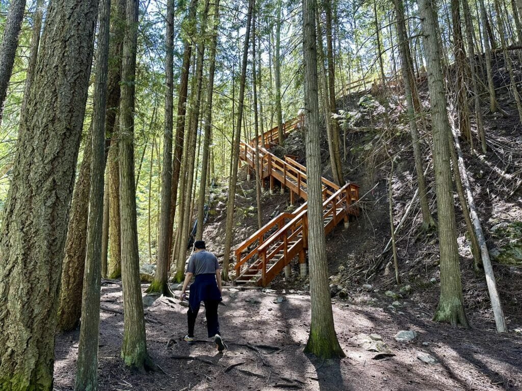 BX Creek Trail 徒步路上的木台阶