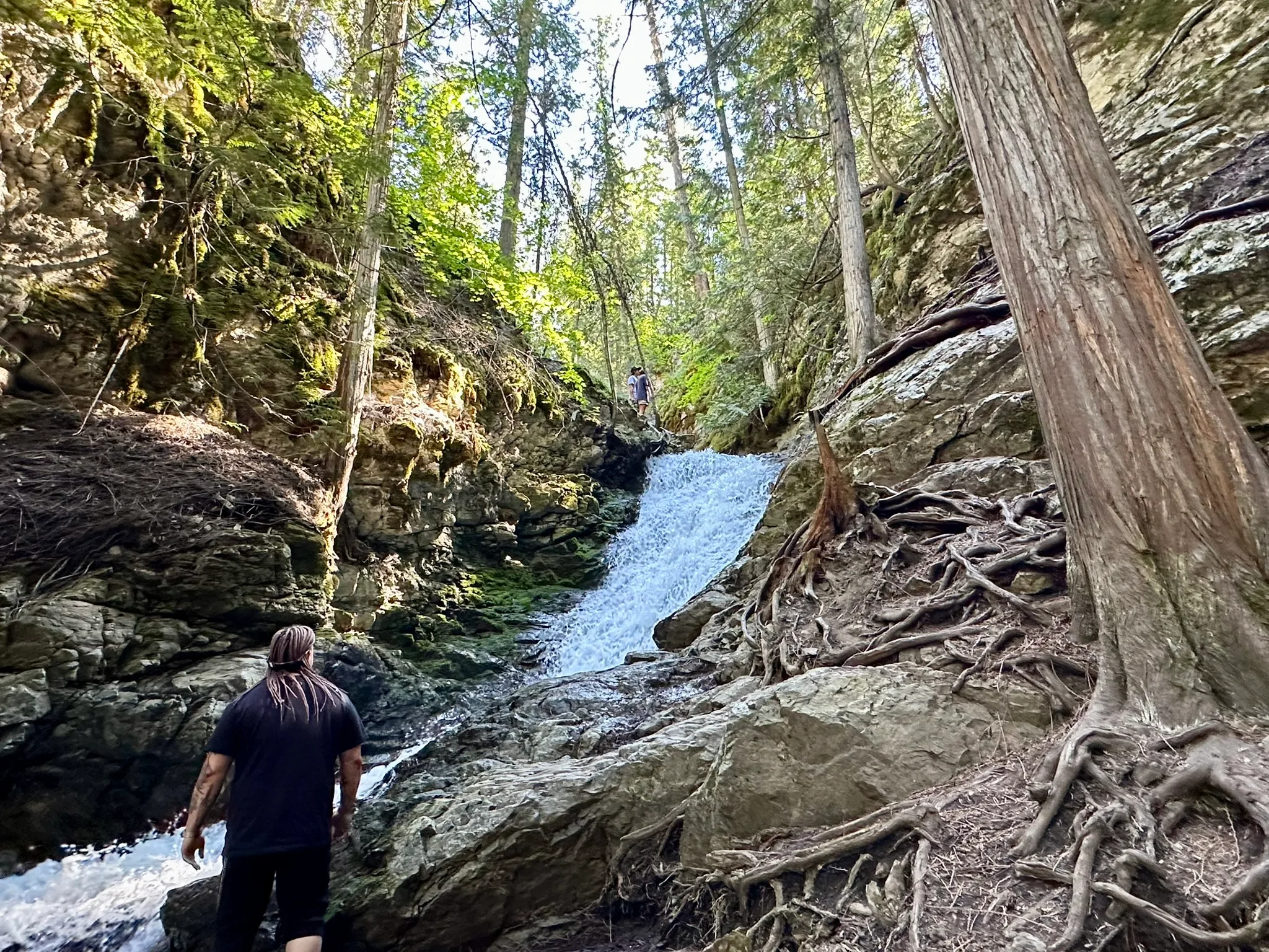 BX Creek Trail 徒步的终点