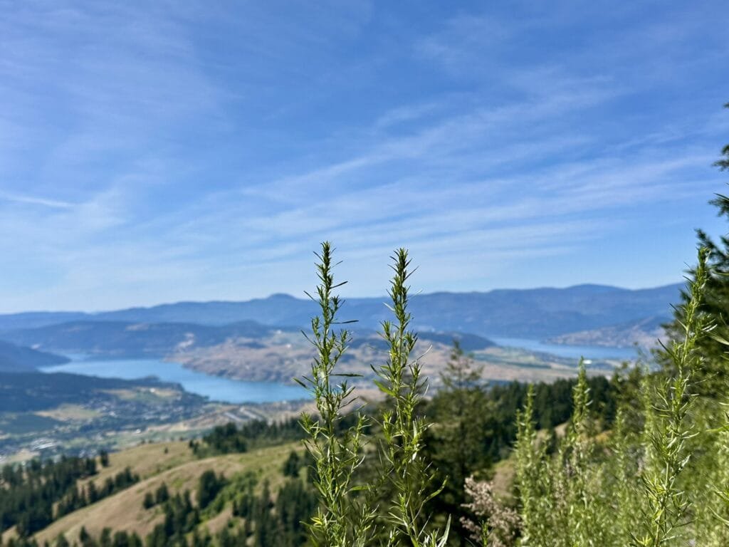 Becker Lake 徒步的山顶风景