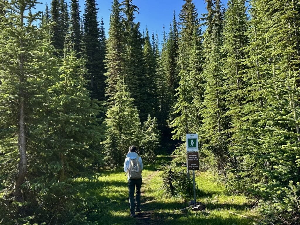 Twin Lakes 徒步Trailhead