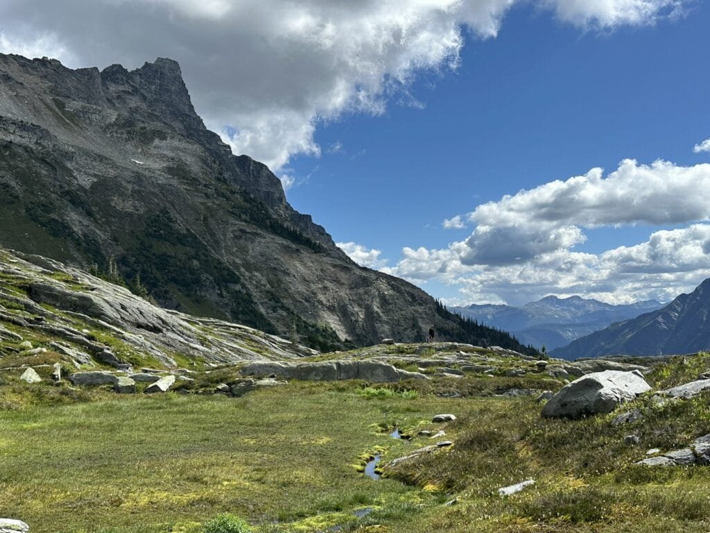 Hermit Meadows