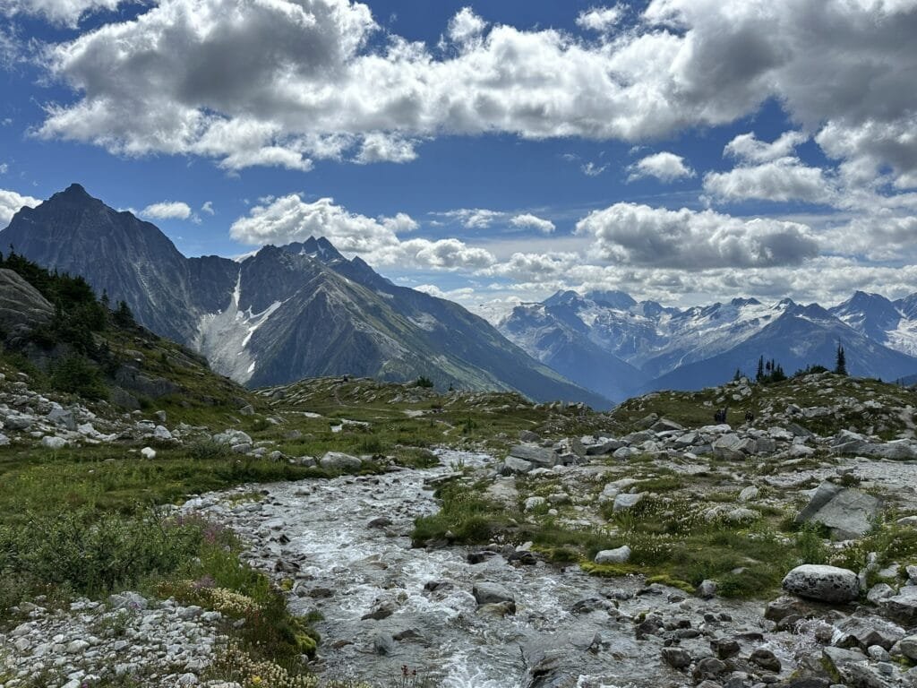 Hermit Meadows 的小溪