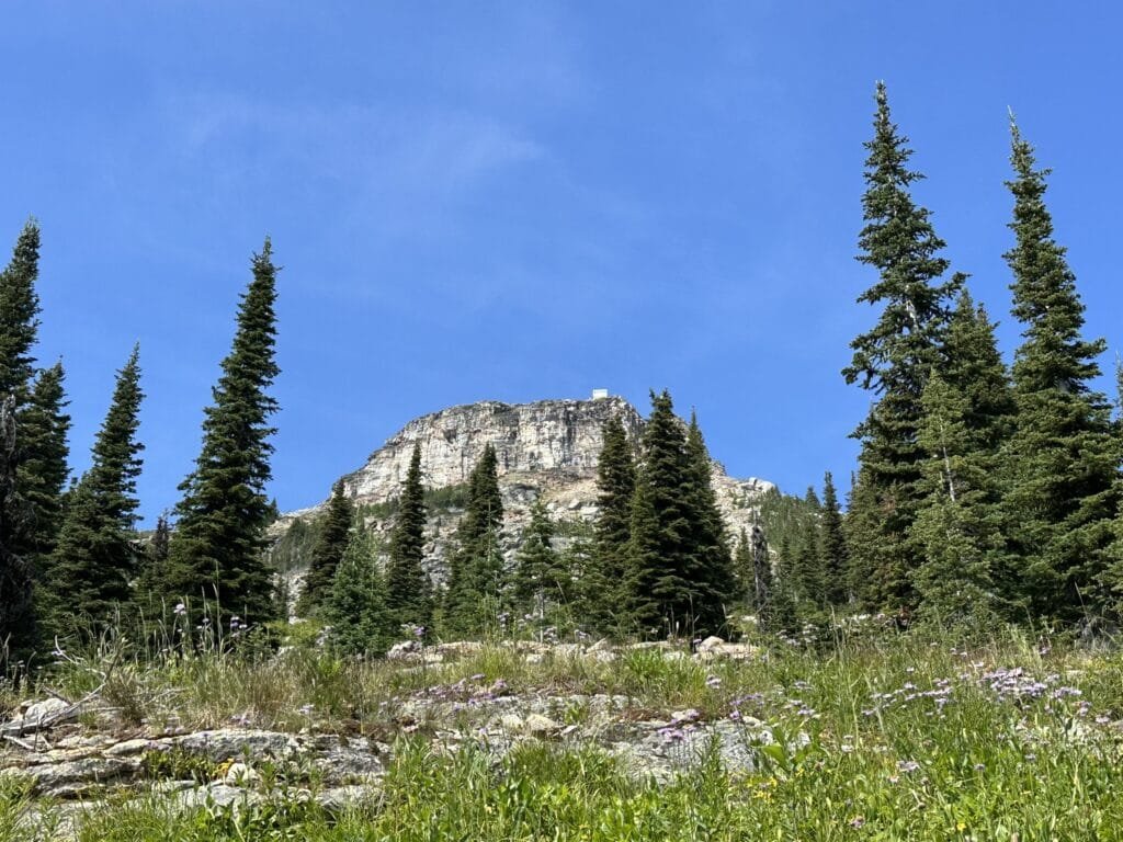 抬头遥望我们的目的地: Saddle Mountain 山顶瞭望塔小屋