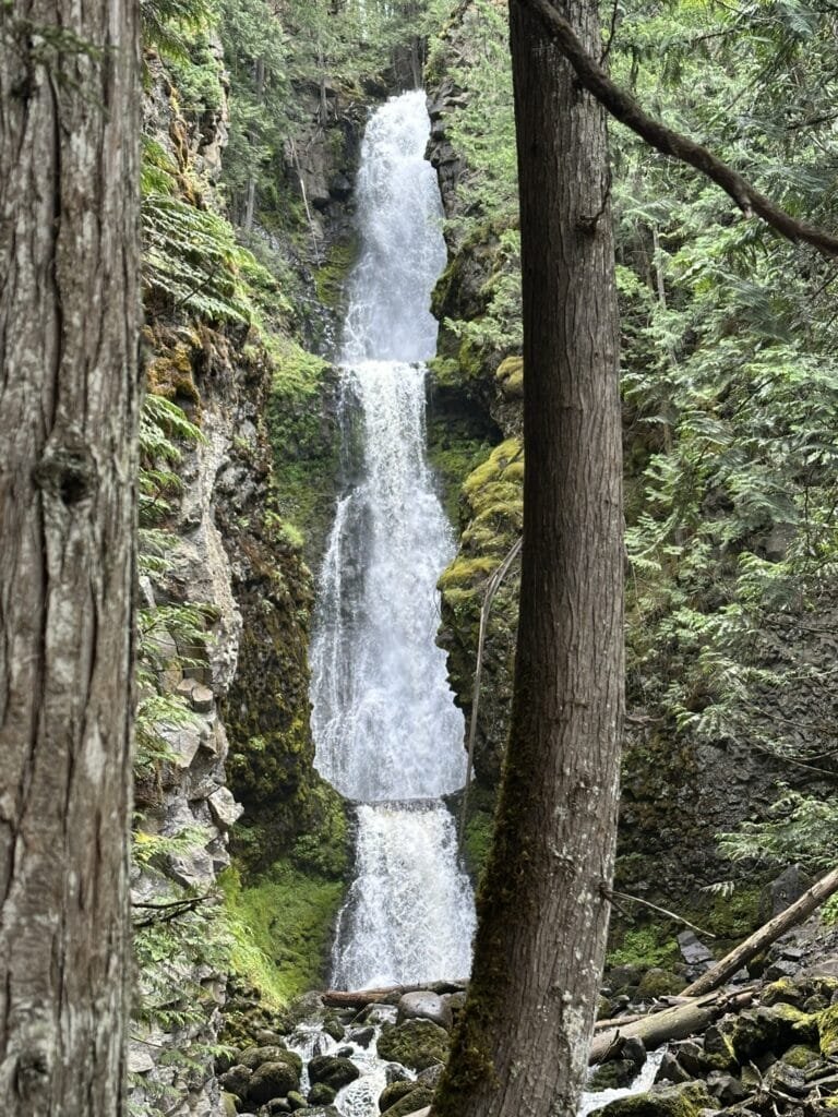 Wells Gray 公园 - Three Deckers Falls