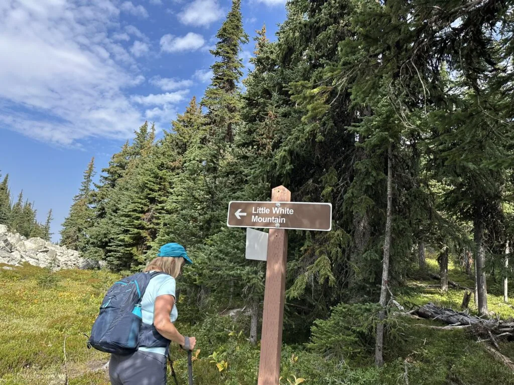 Little White Mountain Trail 小白山徒步指示牌