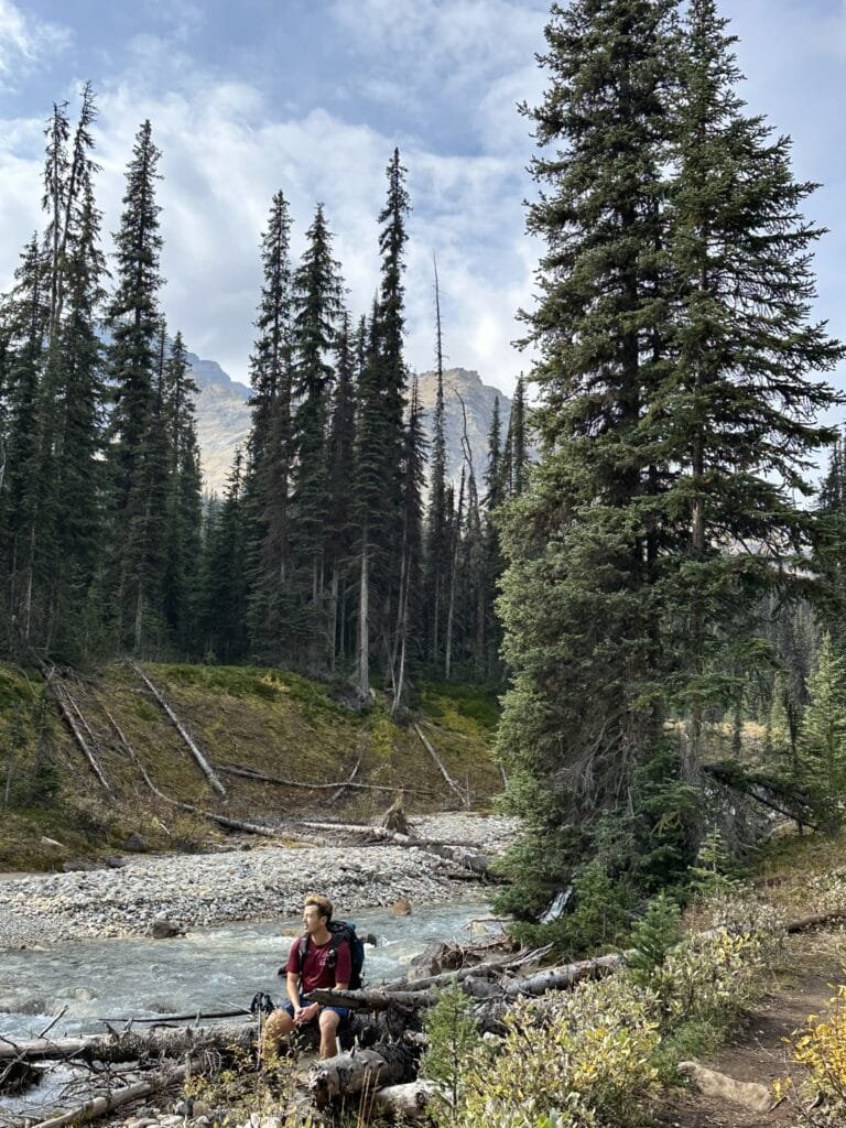 Yoho River -Iceline Trail Loop