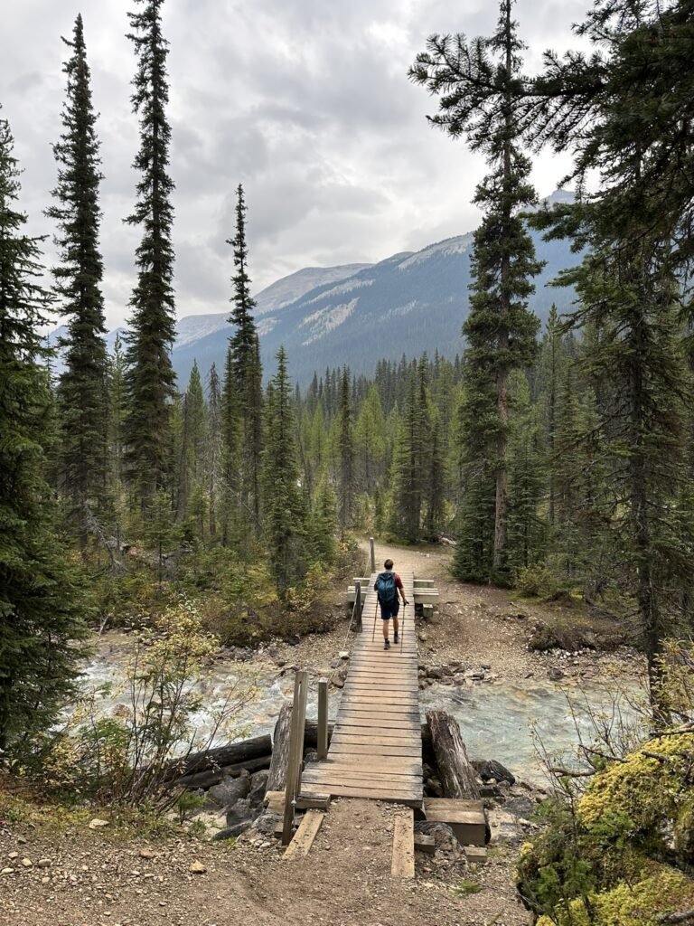 Iceline Trail Loop Yoho -冰线步道