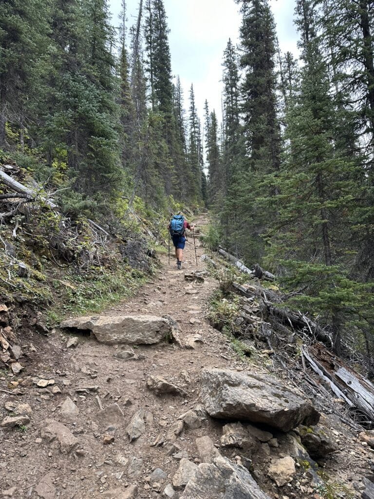 Iceline Trail Loop Yoho -冰线步道
