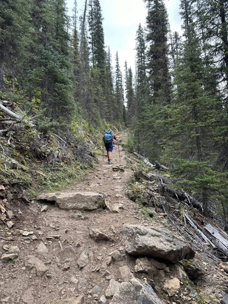 Iceline Trail Loop Yoho -冰线步道