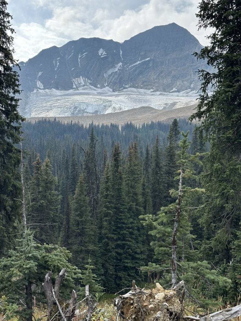View from Iceline Trail Loop