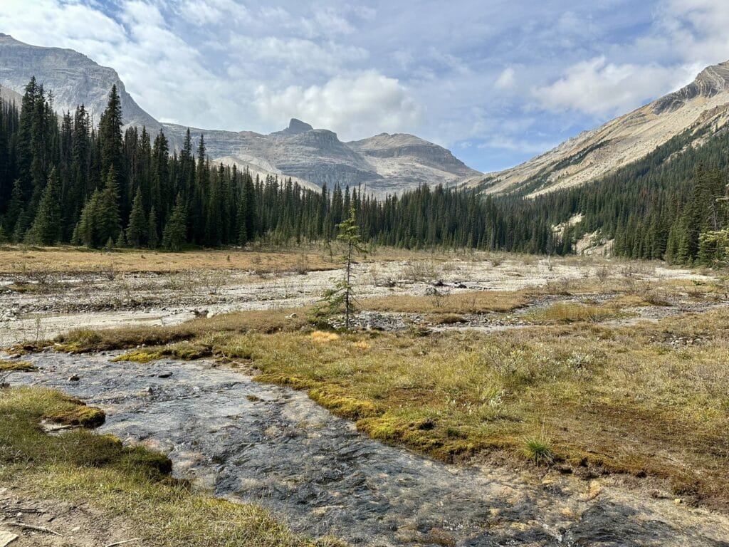 View from ACC Hut
